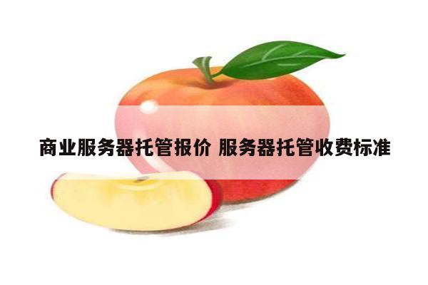 商业服务器托管报价 服务器托管收费标准