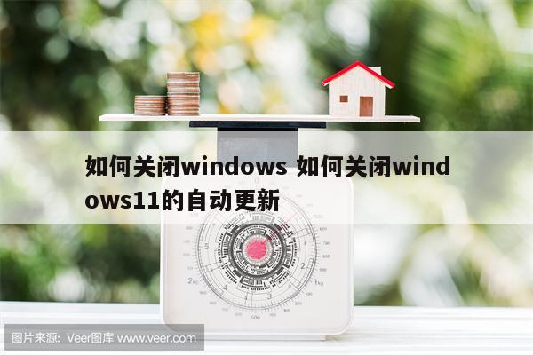 如何关闭windows 如何关闭windows11的自动更新