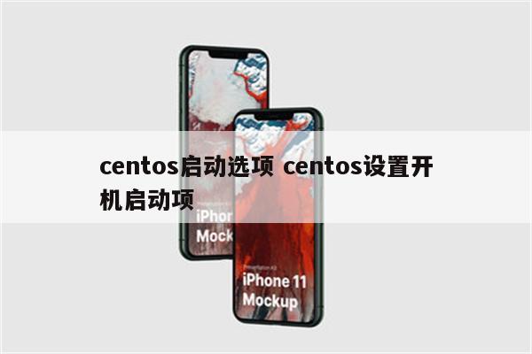 centos启动选项 centos设置开机启动项