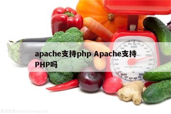 apache支持php Apache支持PHP吗