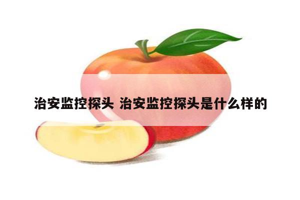 治安监控探头 治安监控探头是什么样的