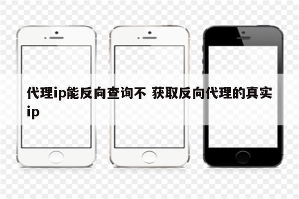 代理ip能反向查询不 获取反向代理的真实ip