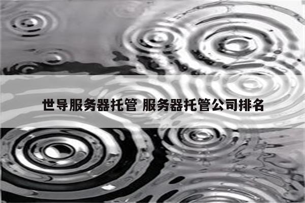世导服务器托管 服务器托管公司排名