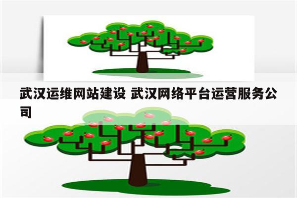 武汉运维网站建设 武汉网络平台运营服务公司