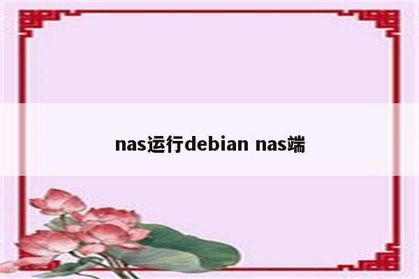 nas运行debian nas端