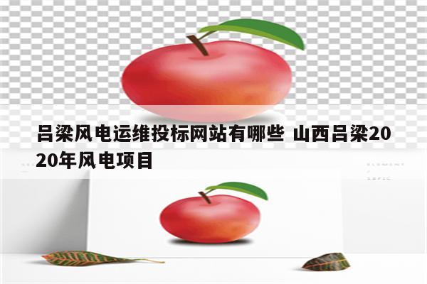 吕梁风电运维投标网站有哪些 山西吕梁2020年风电项目