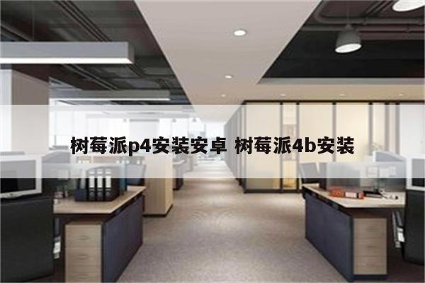 树莓派p4安装安卓 树莓派4b安装