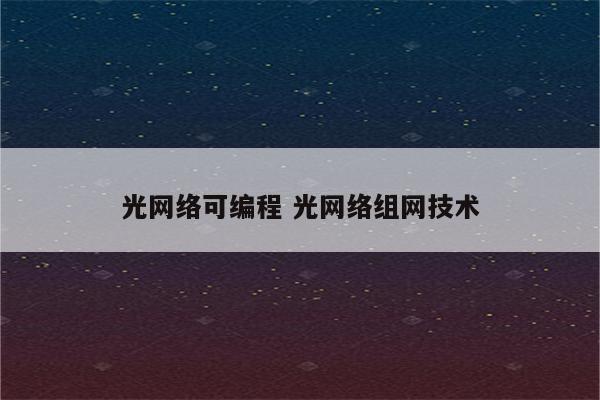 光网络可编程 光网络组网技术