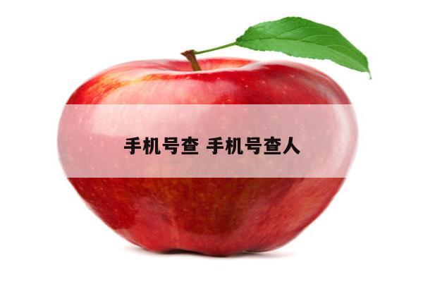手机号查 手机号查人