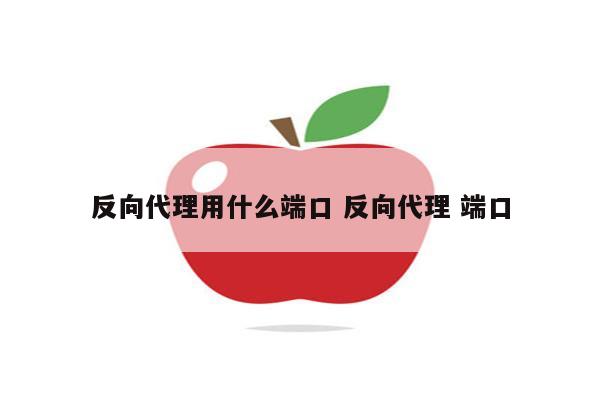 反向代理用什么端口 反向代理 端口