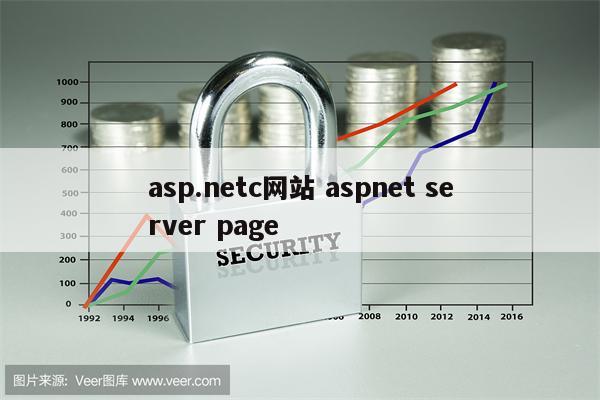 asp.netc网站 aspnet server page