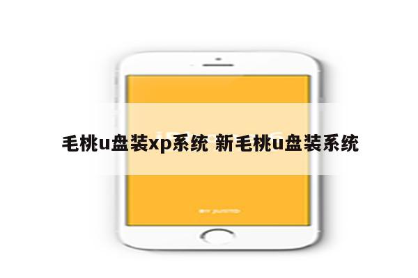 毛桃u盘装xp系统 新毛桃u盘装系统