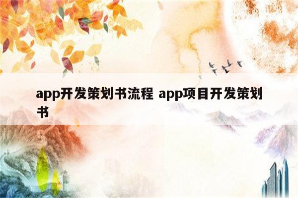 app开发策划书流程 app项目开发策划书