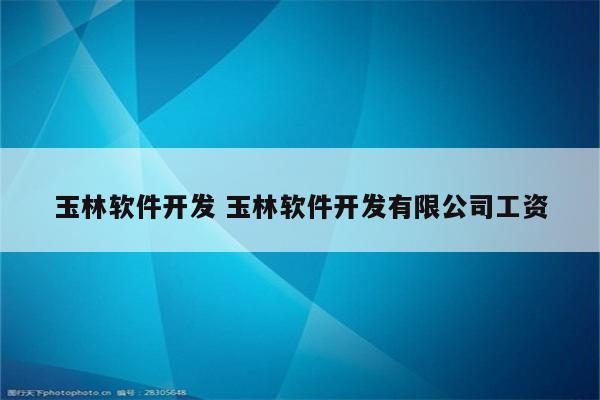 玉林软件开发 玉林软件开发有限公司工资