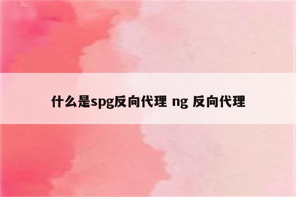 什么是spg反向代理 ng 反向代理