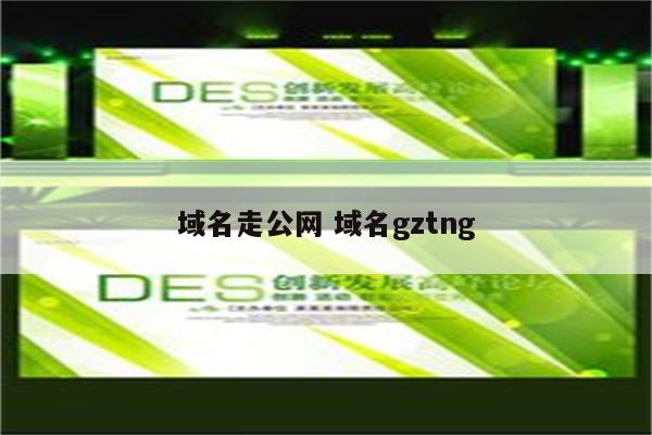 域名走公网 域名gztng