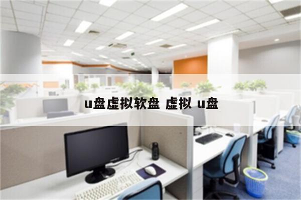 u盘虚拟软盘 虚拟 u盘