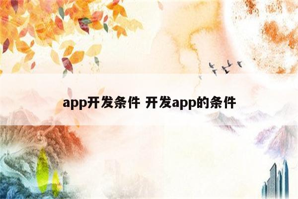 app开发条件 开发app的条件