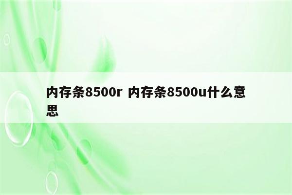 内存条8500r 内存条8500u什么意思