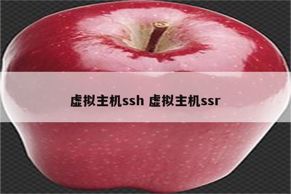 虚拟主机ssh 虚拟主机ssr