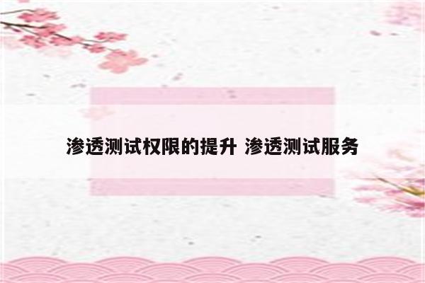 渗透测试权限的提升 渗透测试服务
