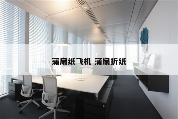蒲扇纸飞机 蒲扇折纸