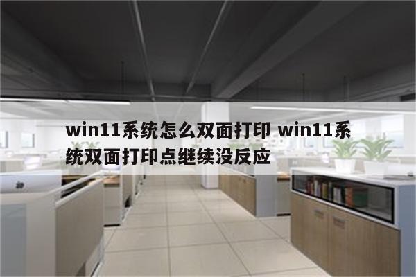 win11系统怎么双面打印 win11系统双面打印点继续没反应