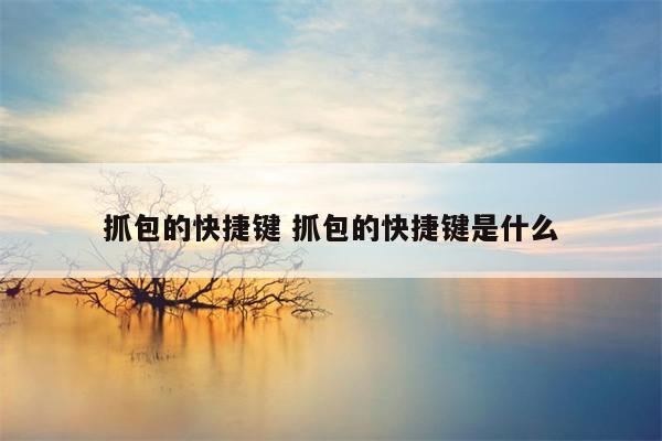 抓包的快捷键 抓包的快捷键是什么