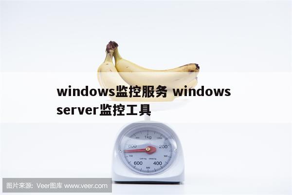 windows监控服务 windows server监控工具