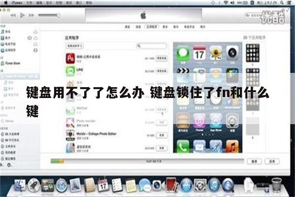 键盘用不了了怎么办 键盘锁住了fn和什么键