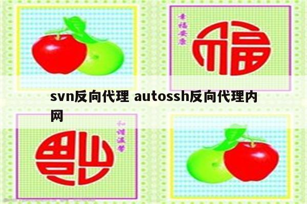 详细阅读:svn反向代理 autossh反向代理内网 svn反向代理 autossh反向代理内网