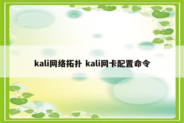 kali网络拓扑 kali网卡配置命令