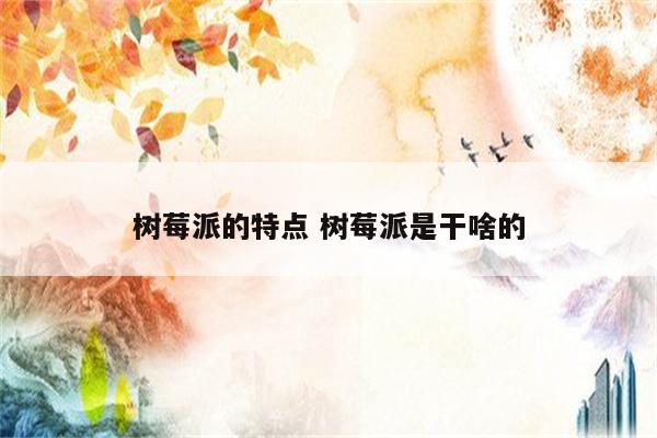 树莓派的特点 树莓派是干啥的