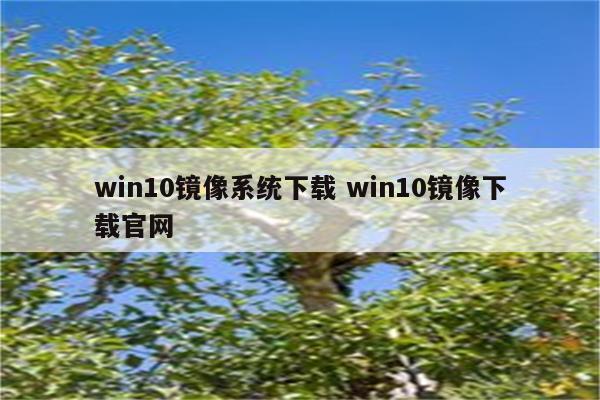 详细阅读:win10镜像系统下载 win10镜像下载官网 win10镜像系统下载 win10镜像下载官网