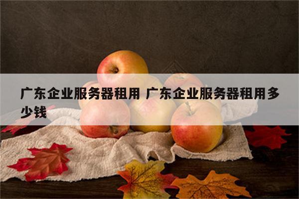 广东企业服务器租用 广东企业服务器租用多少钱