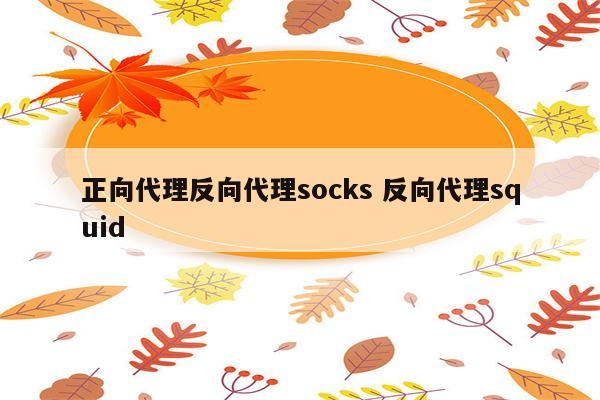 正向代理反向代理socks 反向代理squid