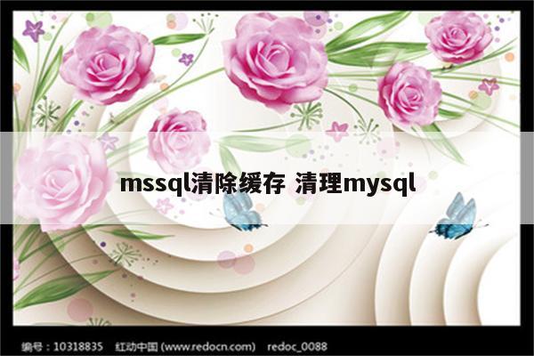 mssql清除缓存 清理mysql