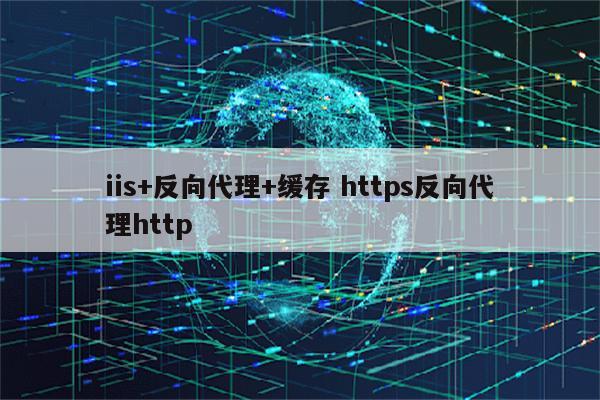 iis+反向代理+缓存 https反向代理http