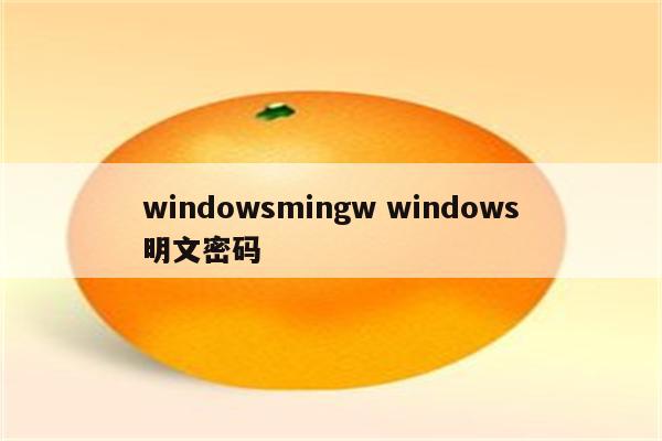 windowsmingw windows明文密码