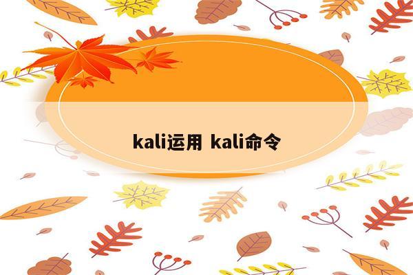 kali运用 kali命令