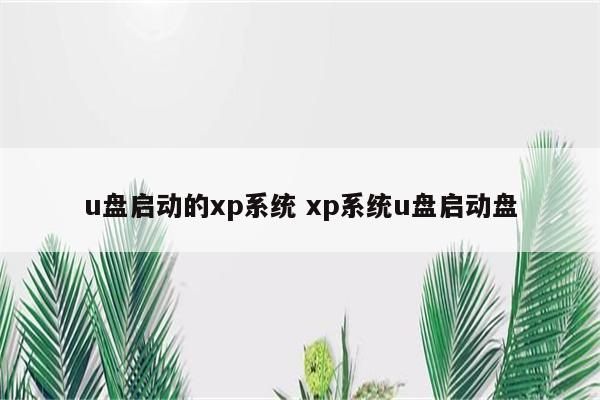 u盘启动的xp系统 xp系统u盘启动盘