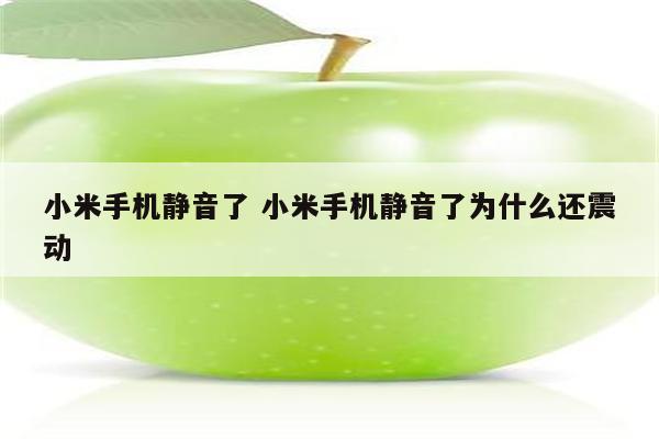 小米手机静音了 小米手机静音了为什么还震动