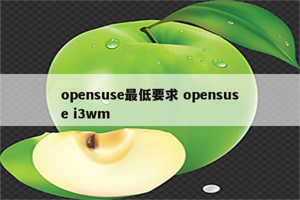 opensuse最低要求 opensuse i3wm