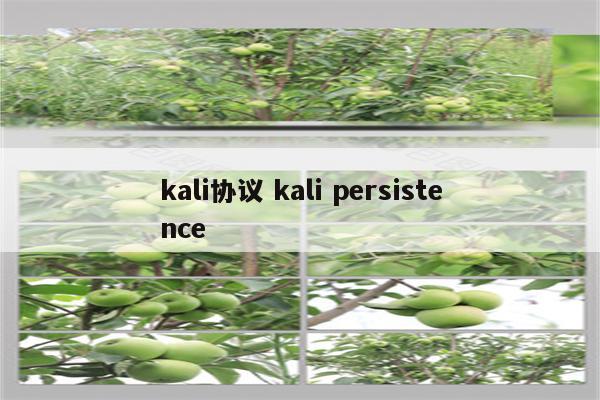 kali协议 kali persistence