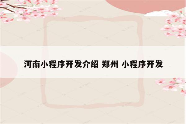 河南小程序开发介绍 郑州 小程序开发