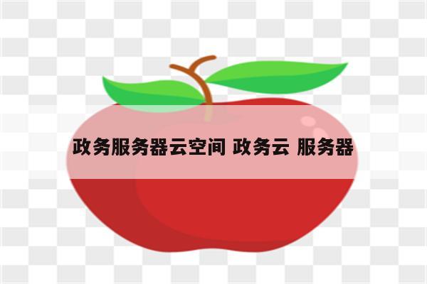 政务服务器云空间 政务云 服务器