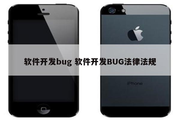 软件开发bug 软件开发BUG法律法规