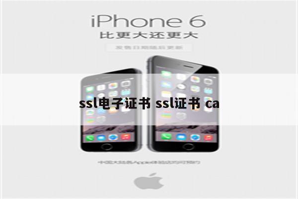 ssl电子证书 ssl证书 ca