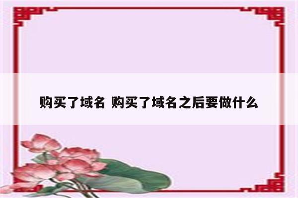 购买了域名 购买了域名之后要做什么