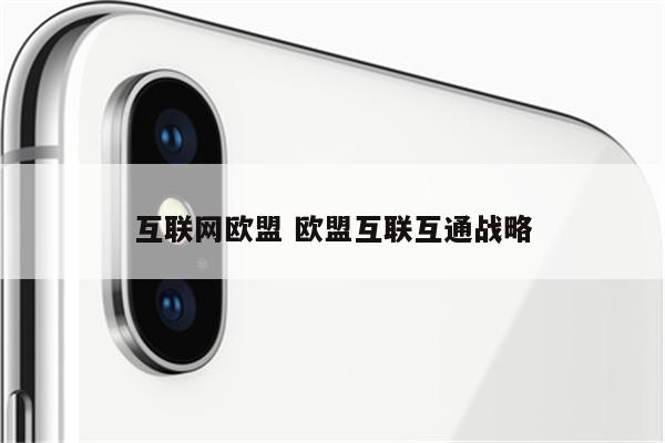 详细阅读:互联网欧盟 欧盟互联互通战略 互联网欧盟 欧盟互联互通战略